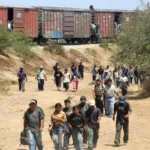 Abusos y explotación