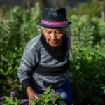 10-mayor-Los-Duendes Desarrollo sostenible