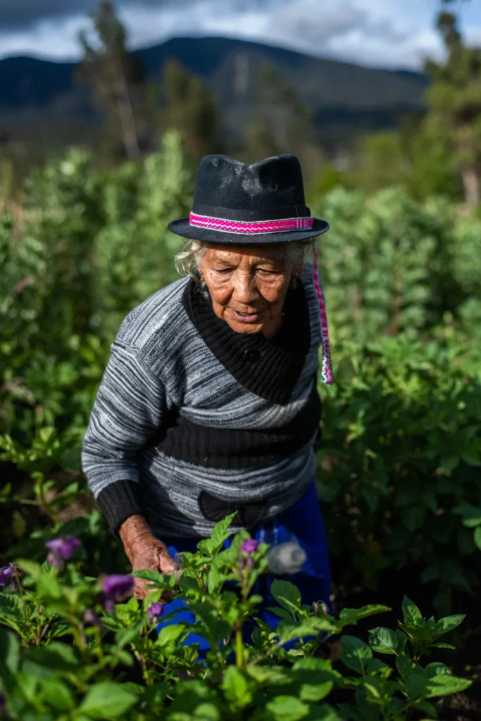 10-mayor-Los-Duendes Desarrollo sostenible